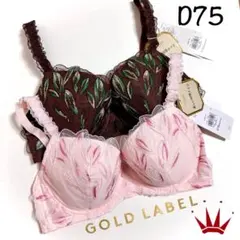 ＊D75 トリンププレミアム ゴールドレーベル 3085 ブラ単品 2点PKBR
