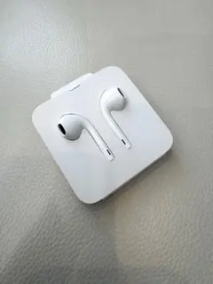 【新品・未使用】 Apple純正EarPids (Lightningコネクタ)