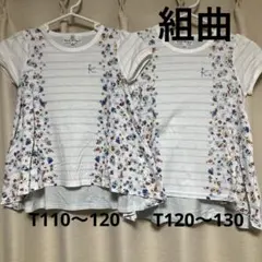 組曲　T110〜120、T120〜130 花柄ボーダーのサムネイル