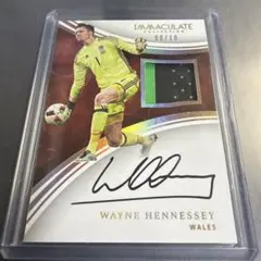 25/25ラストNo.】Panini IMMACULATE ローター・マテウス - メルカリ