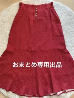 Saaachi3000様 リクエスト 2点 まとめ商品