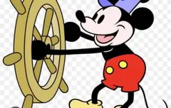 ナナ様専用ブランケット