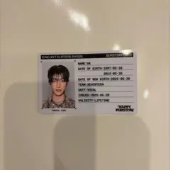 SEVENTEEN DK ドギョム id カード