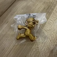 スーパーマリオめじるしアクセサリー2 シークレット