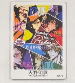 天野明展 マグネットステッカー アルコバレーノ リボーン コロネロ 風 スカル