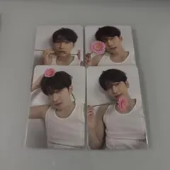 SEVENTEEN ウォヌ　17 is right here コンプ