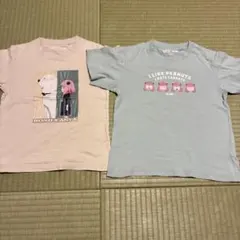 Item thumbnail for item 764bbc44-a959-4de1-91da-e91a92436f6f