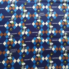 Item thumbnail for item c1e21733-d160-4354-8c5c-8517dbcae9bb