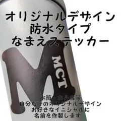 なこ様　専用　名前入り　オリジナルステッカー・スキージーセット