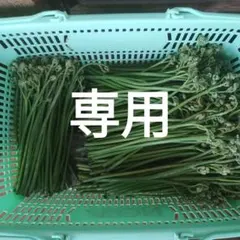 ミトコンドリア様専用　②のサムネイル