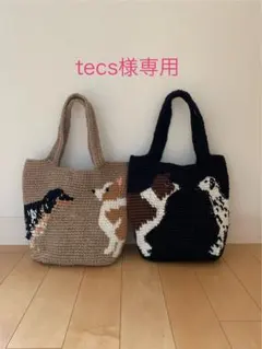 tecs様 専用