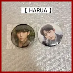 &TEAM HARUA ハルア First Howling：ME 缶バッジ
