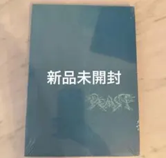 新品未開封　ALD1 少年BEAST Cementic Nest Ver