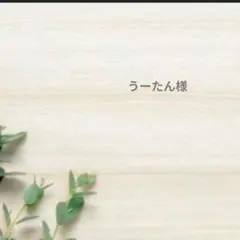 うーたん様　専用ページ♪　ピアス２点