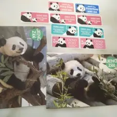 上野動物園 シャンシャンポストカード+シールセットのサムネイル