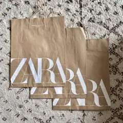ZARA⭐︎ショッパー　3枚　ショップ袋　紙袋　ザラのサムネイル