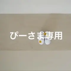 ぴーさま専用❤︎