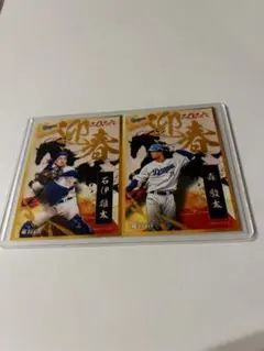 Item thumbnail for item 1c80f005-6a5f-46a6-87ac-20f23120e50d