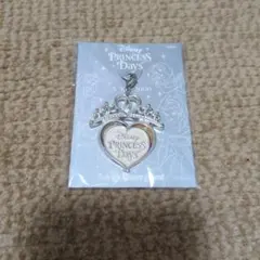Disney Princess Days キーホルダー