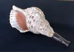 Item thumbnail for item cf234c86-1858-4285-9091-3daf57c68d75