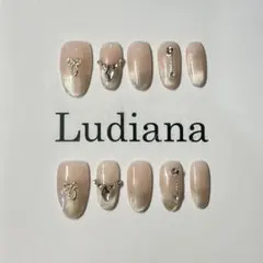 灰色マグネットネイルチップ新品即納