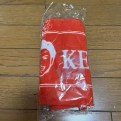 Item thumbnail for item 6921a62c-0210-48c1-b9f4-f7f001e68033