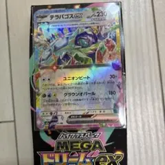 テラパゴスEX ポケモンカード