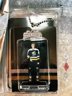 バーノン SEVENTEEN HOME アクキー