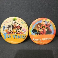 【非売品】ディズニーワールド ピンバッジセット
