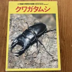 Item thumbnail for item 2b5ff6bf-9958-4040-98b4-0704b42ad5cc