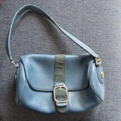 Cole Haan 青 レザー ショルダーバッグ