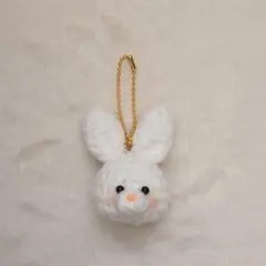 ウサギのキーホルダーꪔ̤‎ ̖́ (ハンドメイド編みぐるみ)
