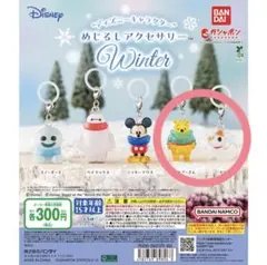 ディズニーキャラクター めじるしアクセサリー Winter