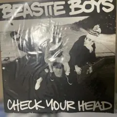 Beastie Boys Check Your Head USオリジナル激レア - メルカリ