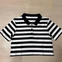 ストライプ クロップドポロシャツ 半袖