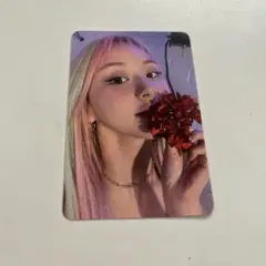 TWICE Taste of Love 親筆簽名卡 彩瑛