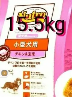 2026年最新】ナチュラルチョイス 15kgの人気アイテム - メルカリ