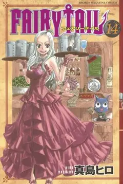FAIRY TAIL 14