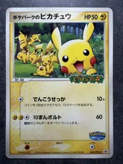 ポケパークのピカチュウ PROMO PCG-Pプロモカード 043/PCG-P ポケパークのピカチュウ PROMO PCG-Pプロモカード 043/PCG-P - メルカリ