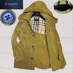 Item thumbnail for item 5996e95c-1f59-41f1-9665-99287ddff410