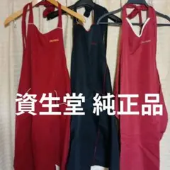 Item thumbnail for item a37e7834-5c0d-4419-b393-244356a036f9