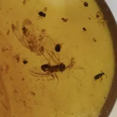 ^_^様 リクエスト 3点 まとめ商品