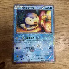 ポッチャマ ポケキュンSC 006/020U シャイニーコレクション　ホロ