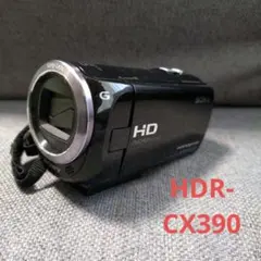 2026年最新】HDR-CX390の人気アイテム - メルカリ
