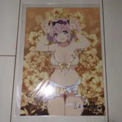 閃乱カグラ NewWave Gバースト 銀塩ブロマイド【雲雀】