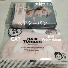 Item thumbnail for item 6db46660-cd6a-453b-bb88-822586238496