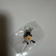 こびとづかん めじるしフレンズ2 カクレケダマ(ネコ)