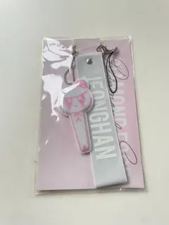 2026年最新】Seventeen ペンライト キーホルダーの人気アイテム - メルカリ