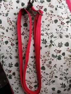 Item thumbnail for item 012d9dd2-177e-4317-94d5-b0b2f969cf78