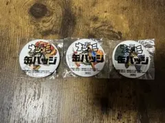 ONE PIECE ルフィ 缶バッジ 未開封 2015年 夏コミ - メルカリ